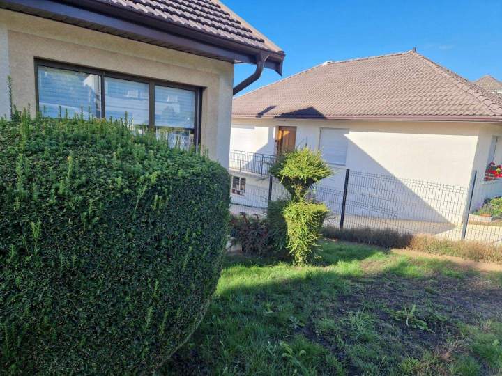 Taille de haie Nancy