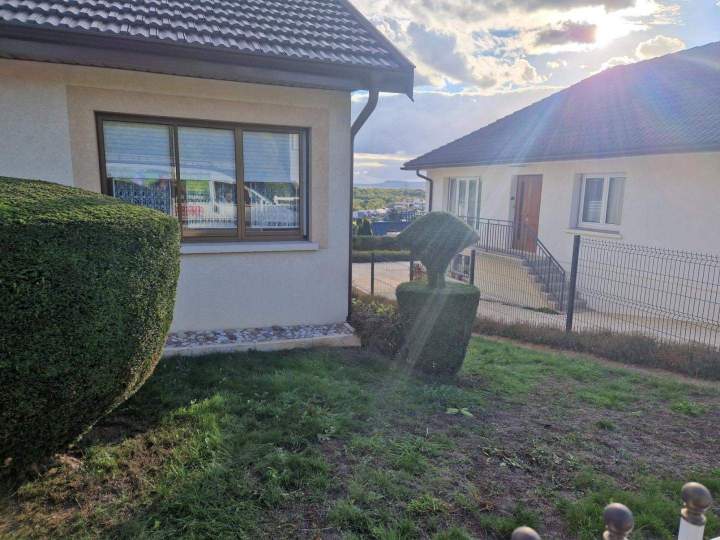 Entretien de haie Nancy