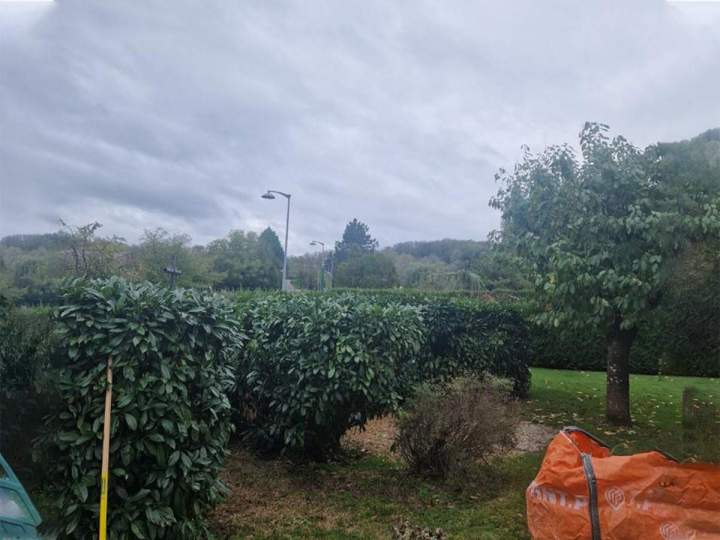 Aménagement paysager Nancy