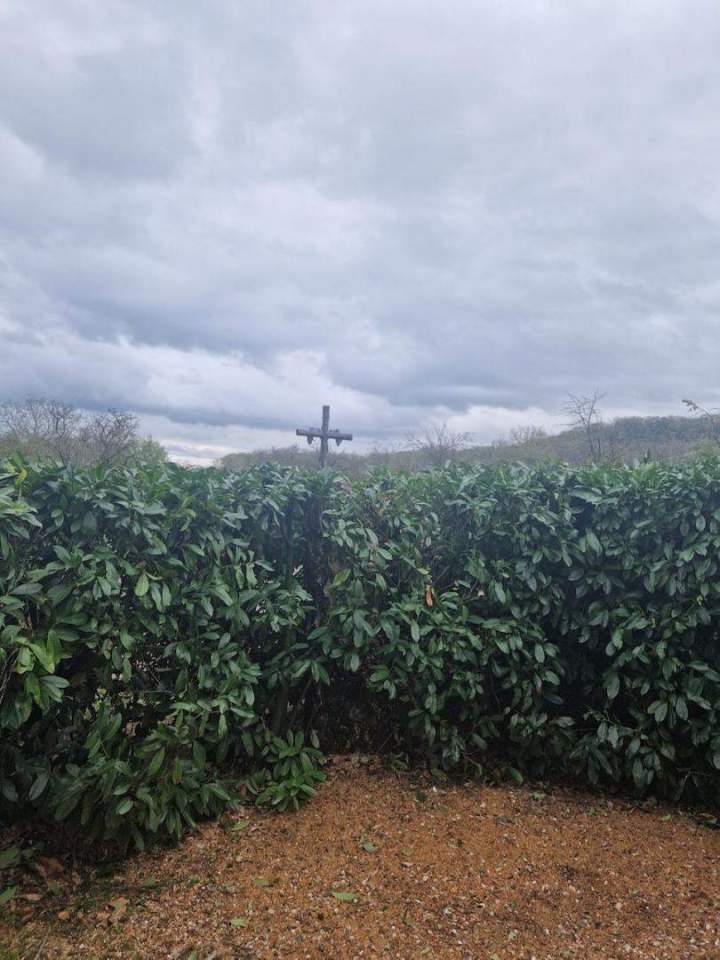 Entretien d’espace vert Nancy