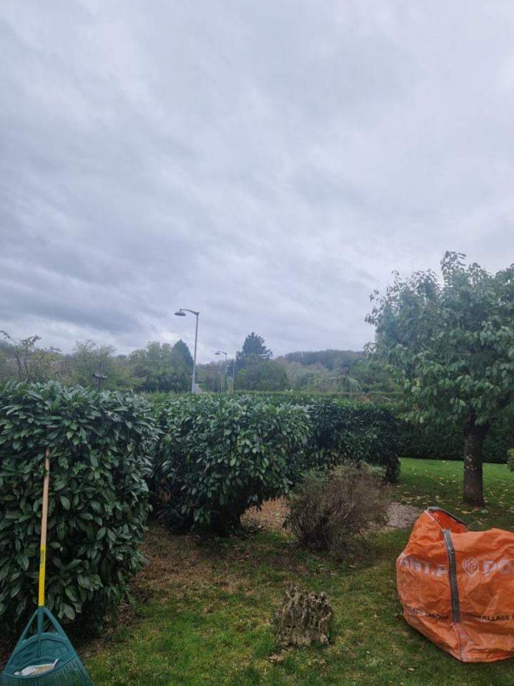 Entretien de jardin Nancy