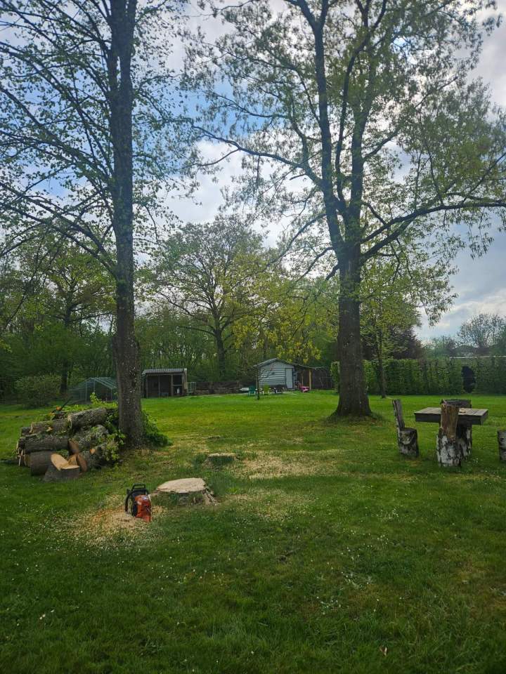 Aménagement paysager Nancy