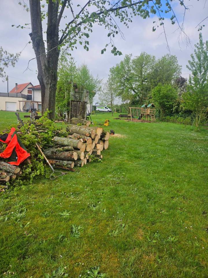 Abattage d’arbres Nancy