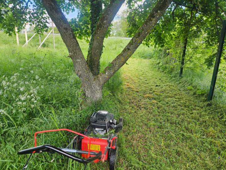 Entretien de pelouse Nancy