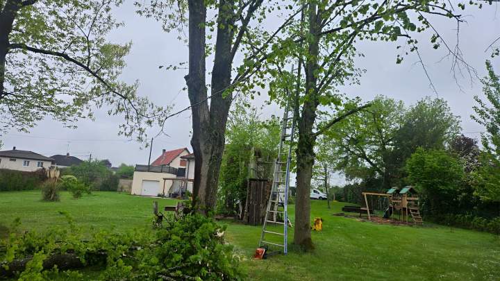 Aménagement paysager Nancy