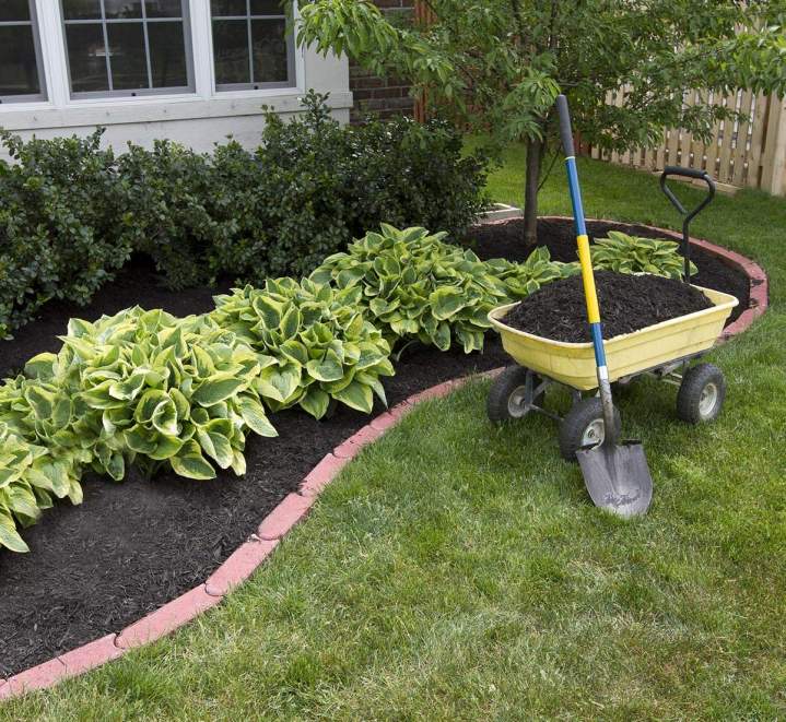 Entretien de jardin Nancy